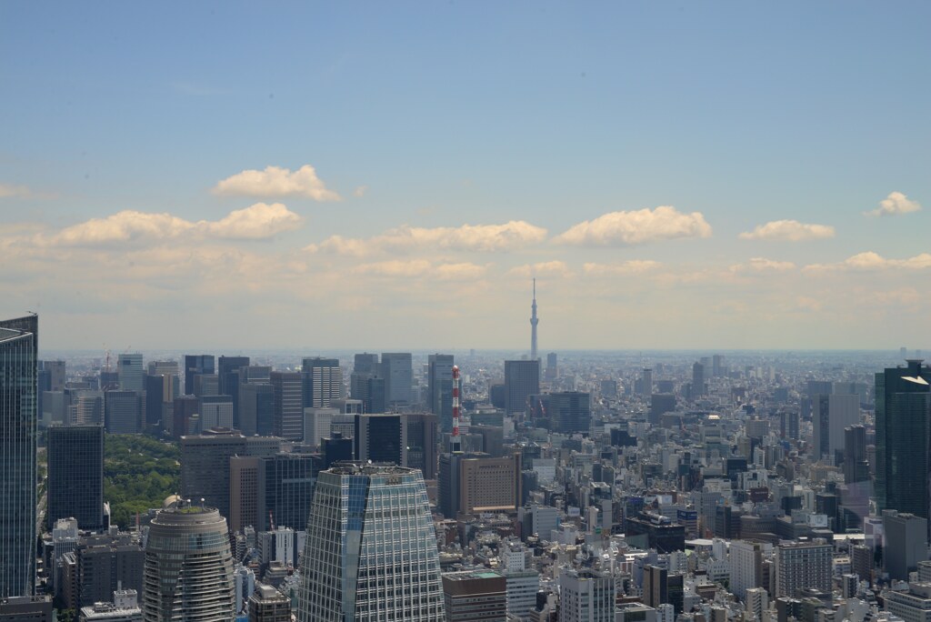 スカイツリー
