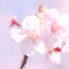 『春よ来い』☆