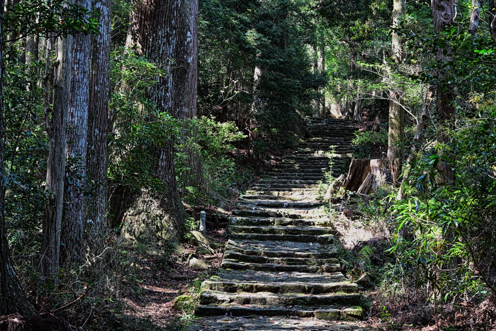 熊野古道　