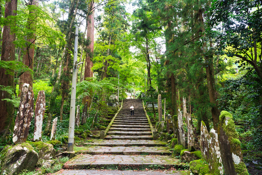 大雄山最乗寺　参道