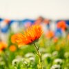 春の日差し