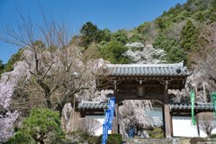 身延山久遠寺　本行坊