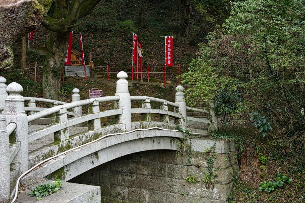 四つ目堀　唐沢山城☆