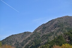 山深く