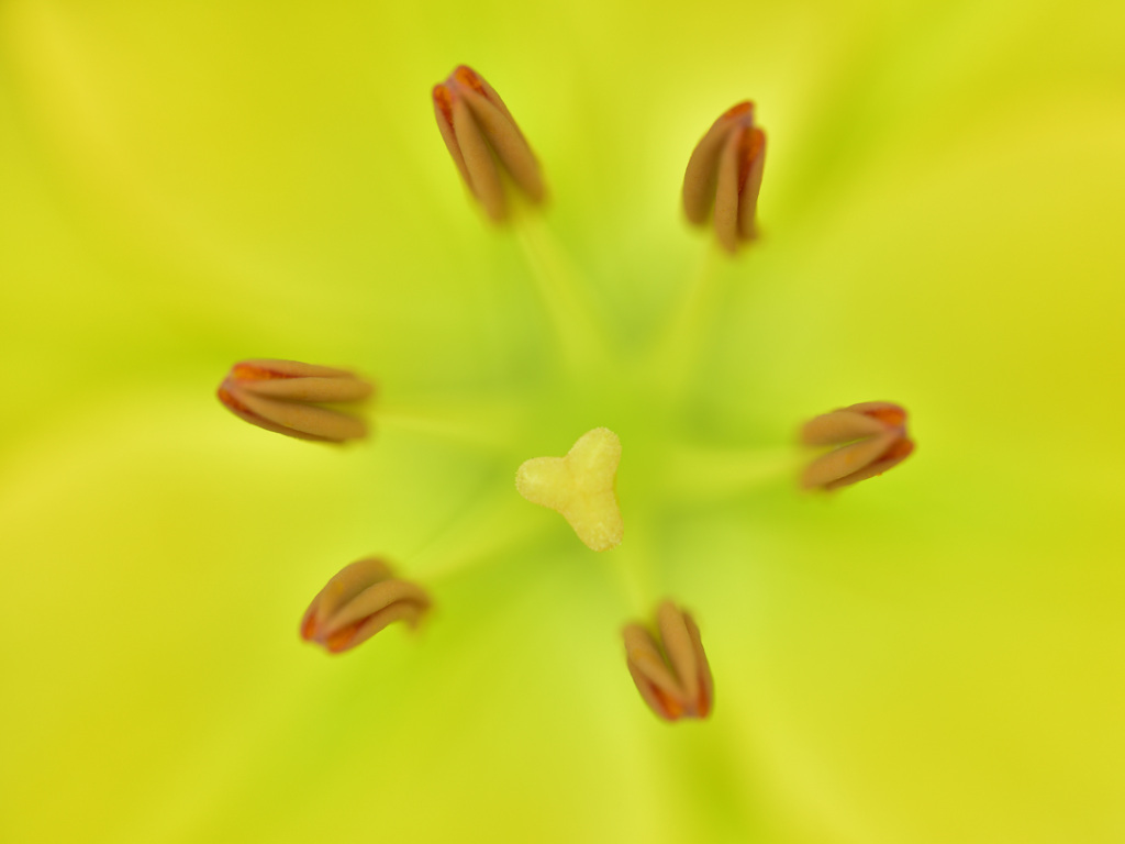 淡くひろがる☆