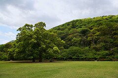 栗林公園