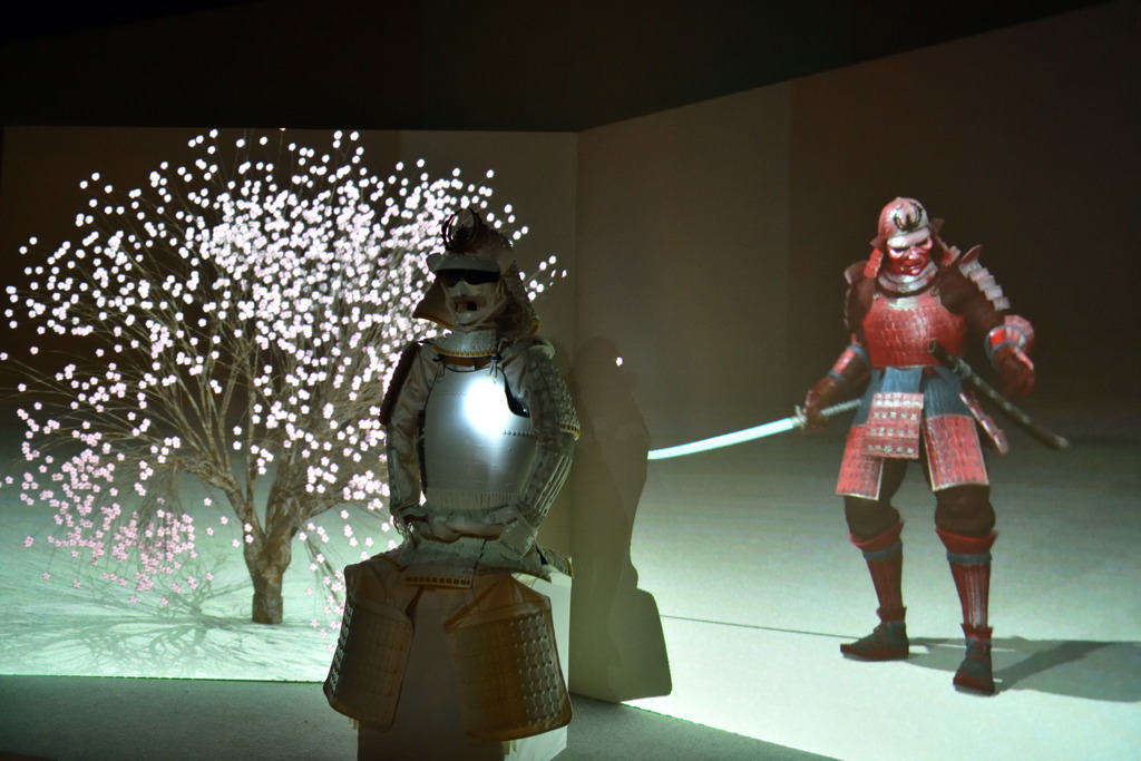 Projection Mapping
