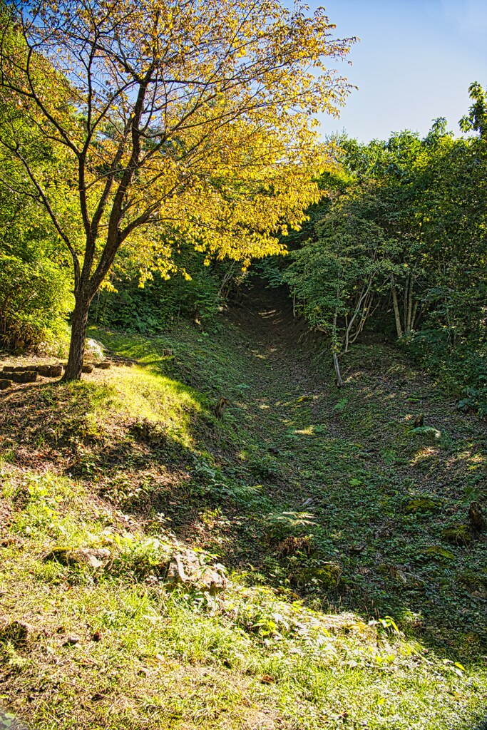 向羽黒山城　堀跡