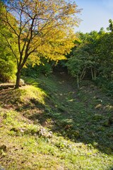 向羽黒山城　堀跡