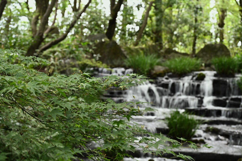 考古園　活水軒☆