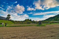 夏は田んぼ　ラコリーナ近江八幡