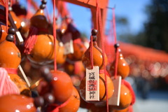 厄難消除お守り　宮城県護国神社