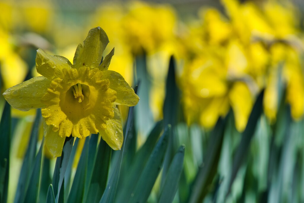 一人だけこちら向き