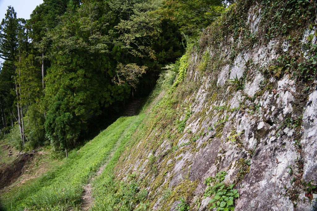 日本100名城　岩村城址　城壁