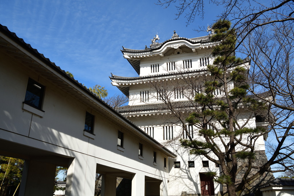 日本100名城　桜咲いたらまた来たい。　忍城