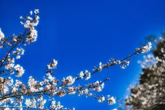 青空