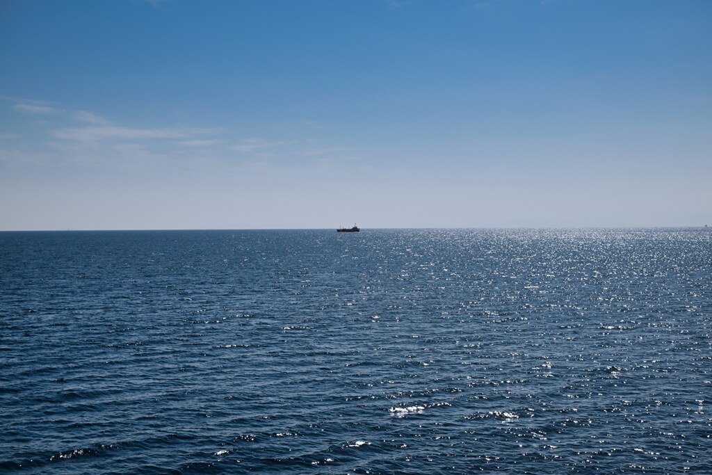 海