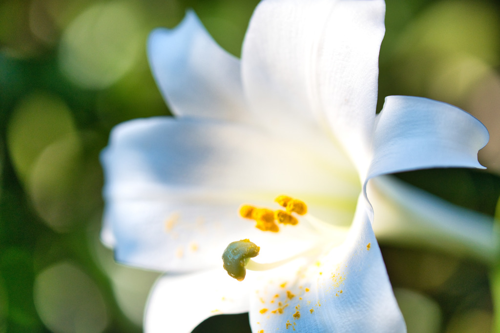 花粉多めで。☆