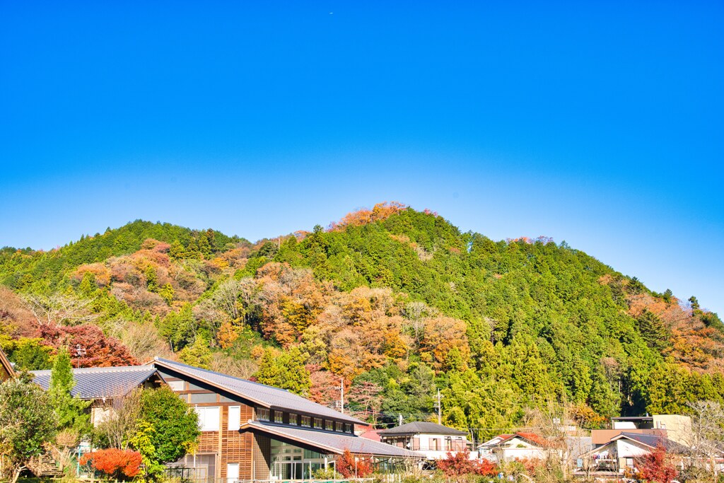 高尾山へ