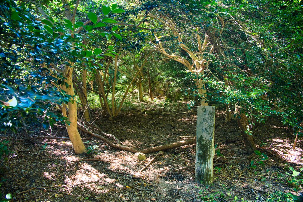 日本100名城 No.105　観音寺城跡