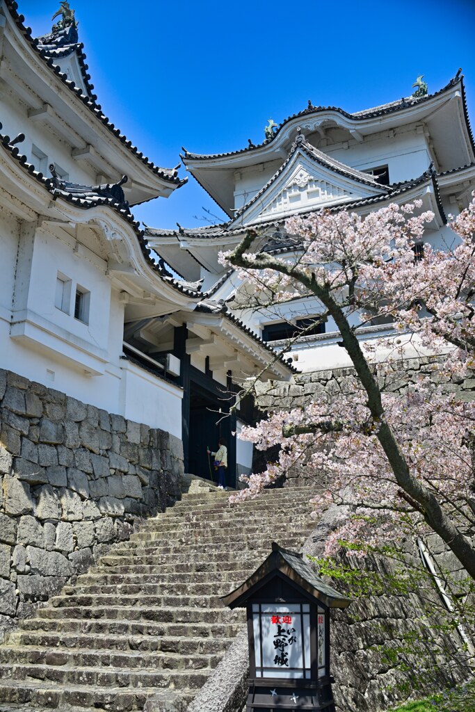 小天守閣から　伊賀上野城跡