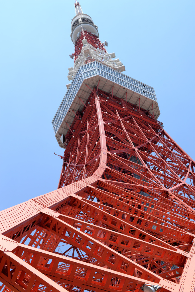 職人技の結集