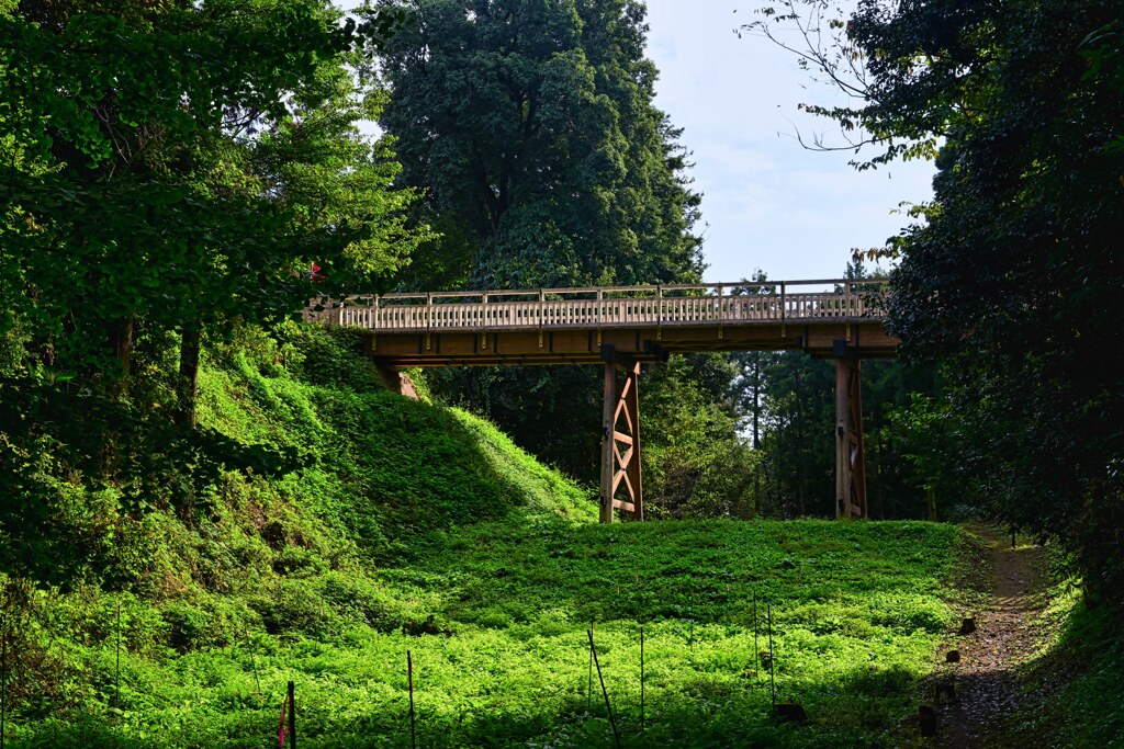 日本100名城No.82　箕輪城　本丸　蔵屋敷間木橋