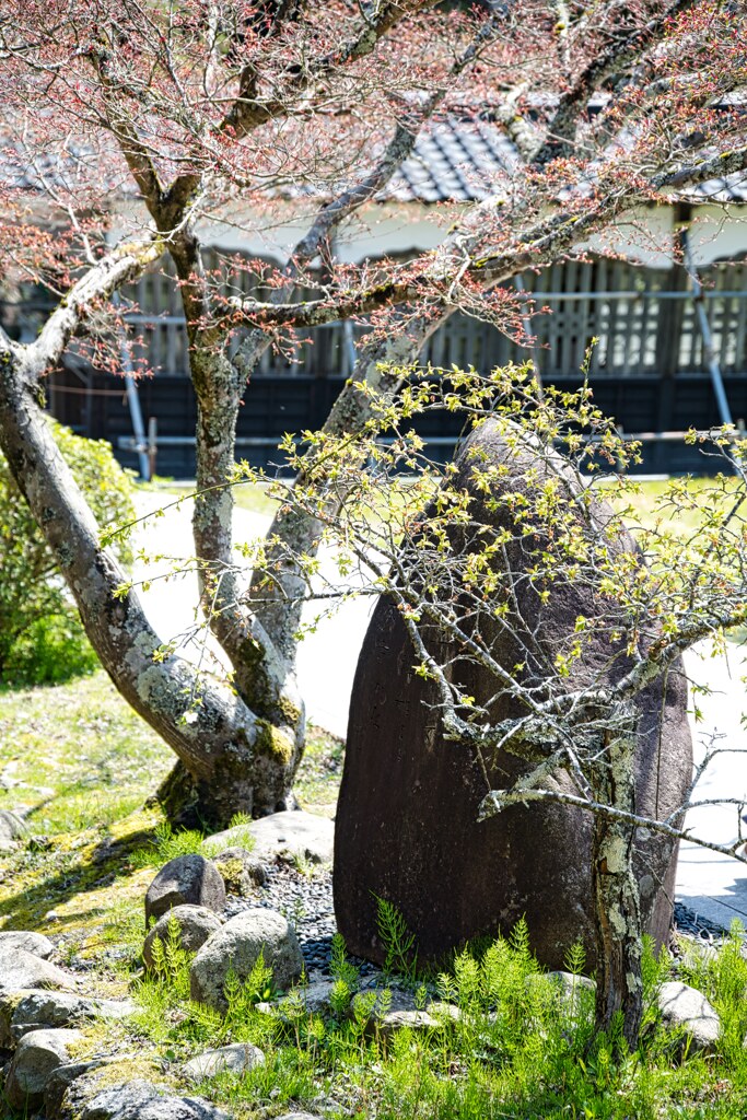 僧堂前句碑　大本山總持寺祖院