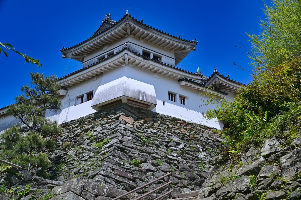 新裏坂から　和歌山城