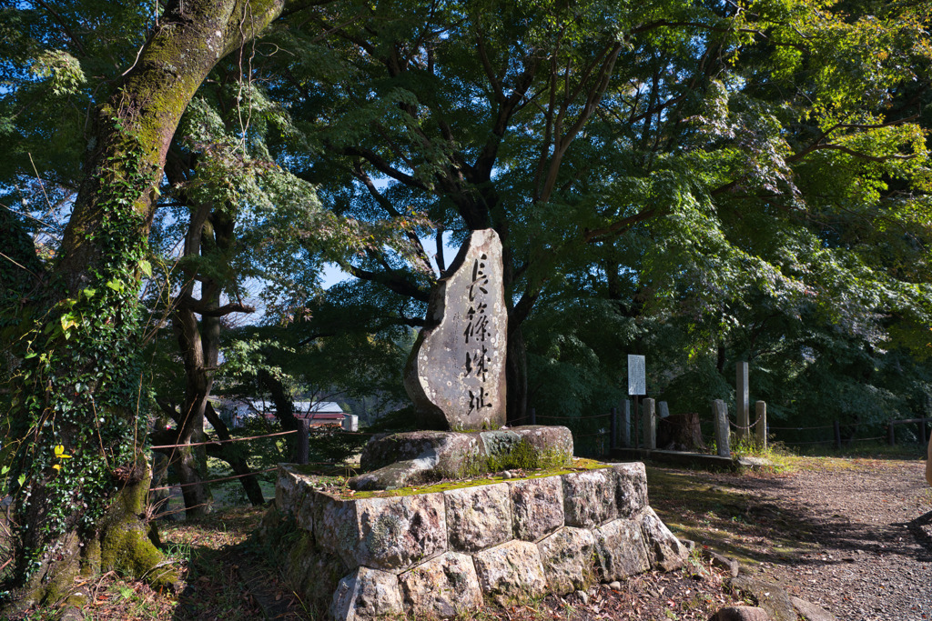 日本100名城 No.20 長篠城址