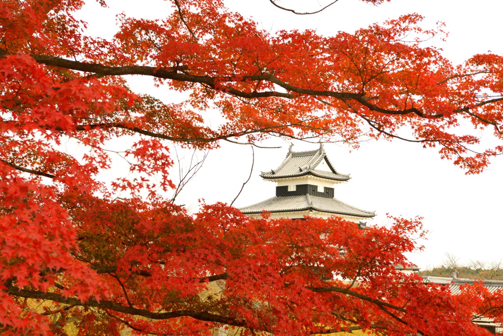 日本100名城　No.9　白河小峰城
