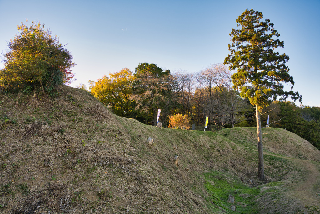 日本100名城　No.42　杉山城址