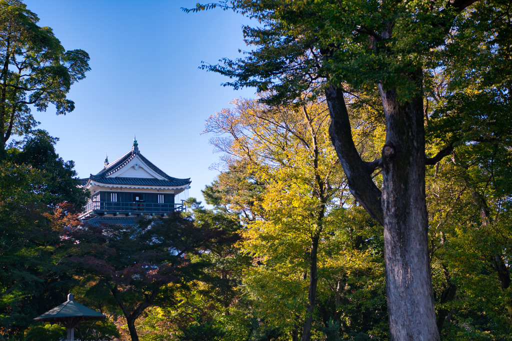 日本100名城　岡崎城　