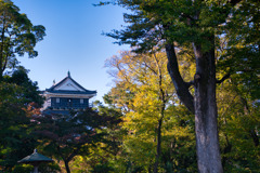 日本100名城　岡崎城　