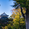 日本100名城　岡崎城　