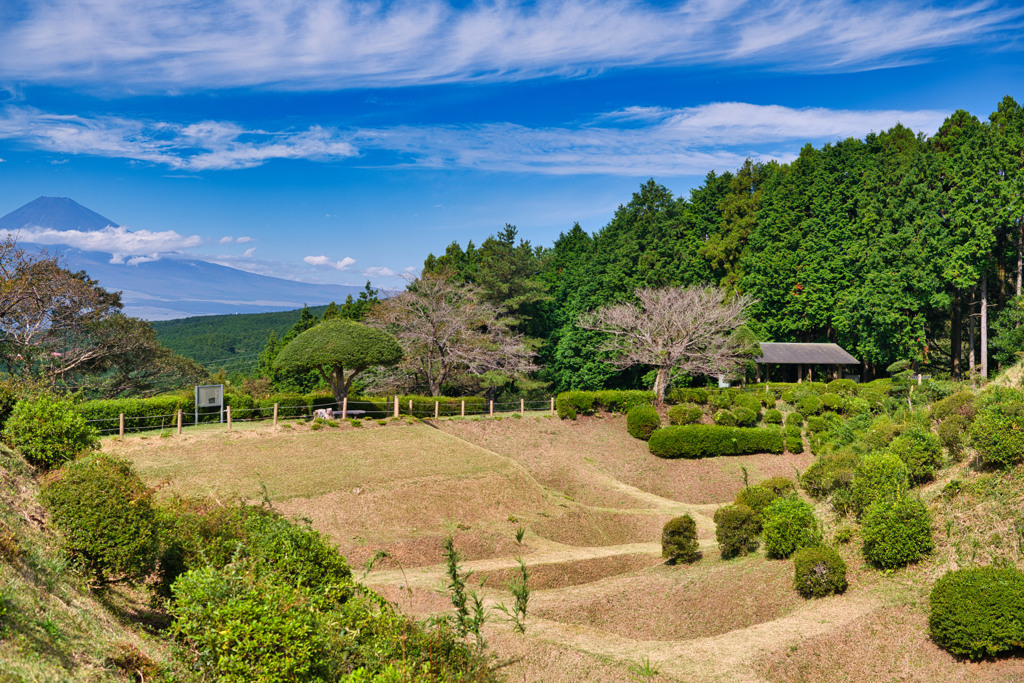 waffle　日本100名城山中城