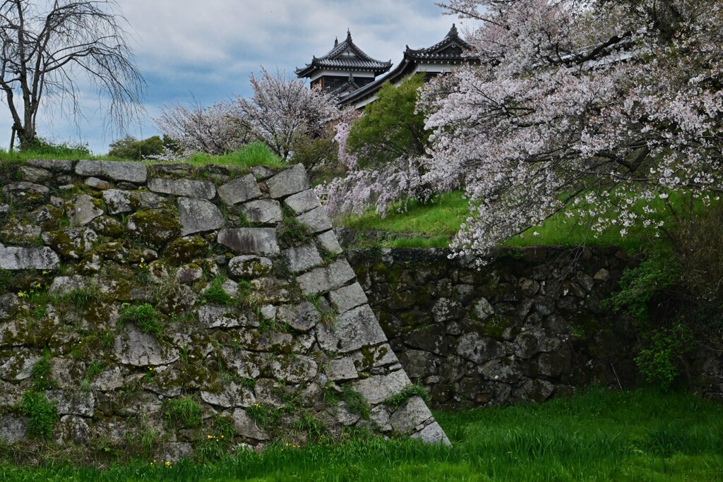 大和郡山城跡　東隅櫓