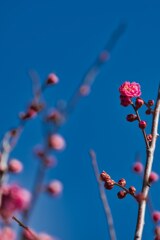 まだまだこれから☆