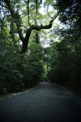 外宮参道　伊勢神宮