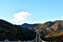 紅葉と吊り橋