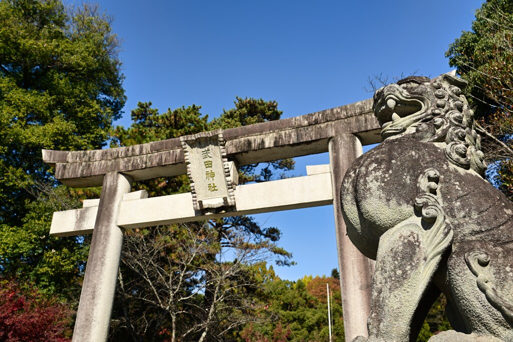 狛犬　武田神社