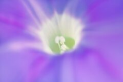 蕊ホール
