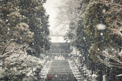 参拝