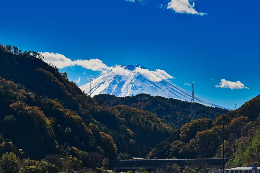 FUJI