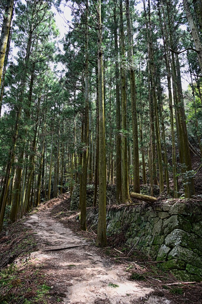 高取城跡 Pから3km　ここから本番