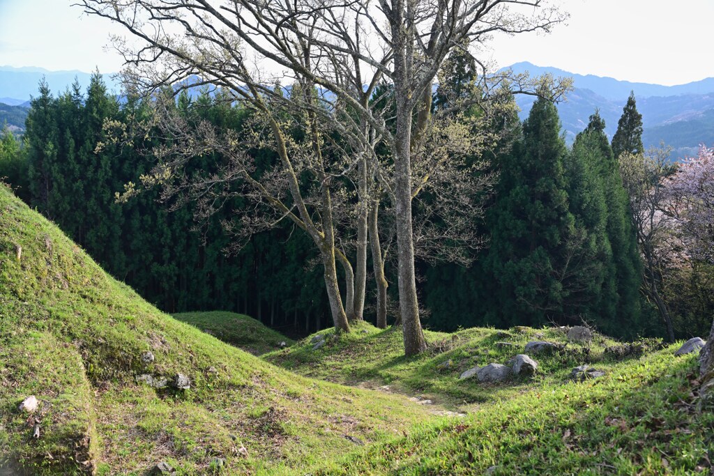 登れた　宇田松山城跡