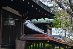 柳沢神社