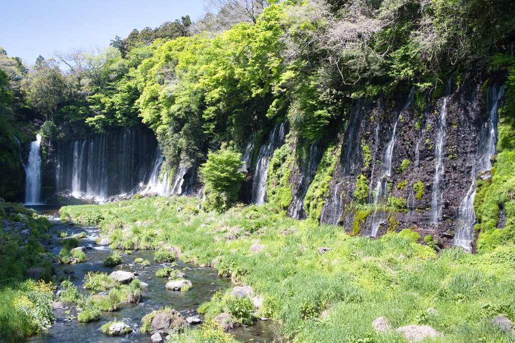 流れ