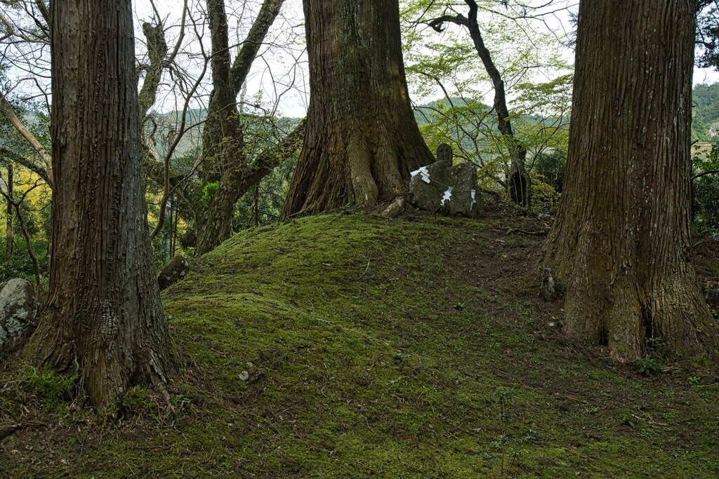 北畠氏館跡　庭園