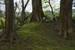 北畠氏館跡　庭園